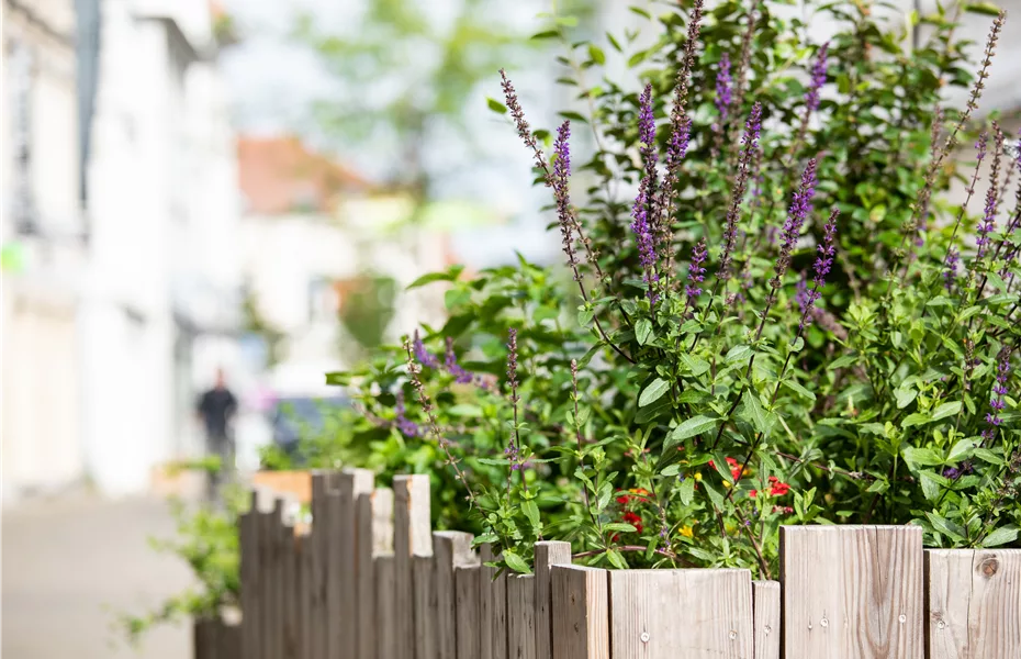 Urban Gardening – selbst in der Stadt ist Platz zum Gärtnern