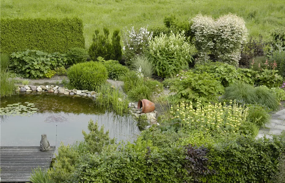 Pflanzen für den Teichrand – So wird der Gartenteich zum Hingucker