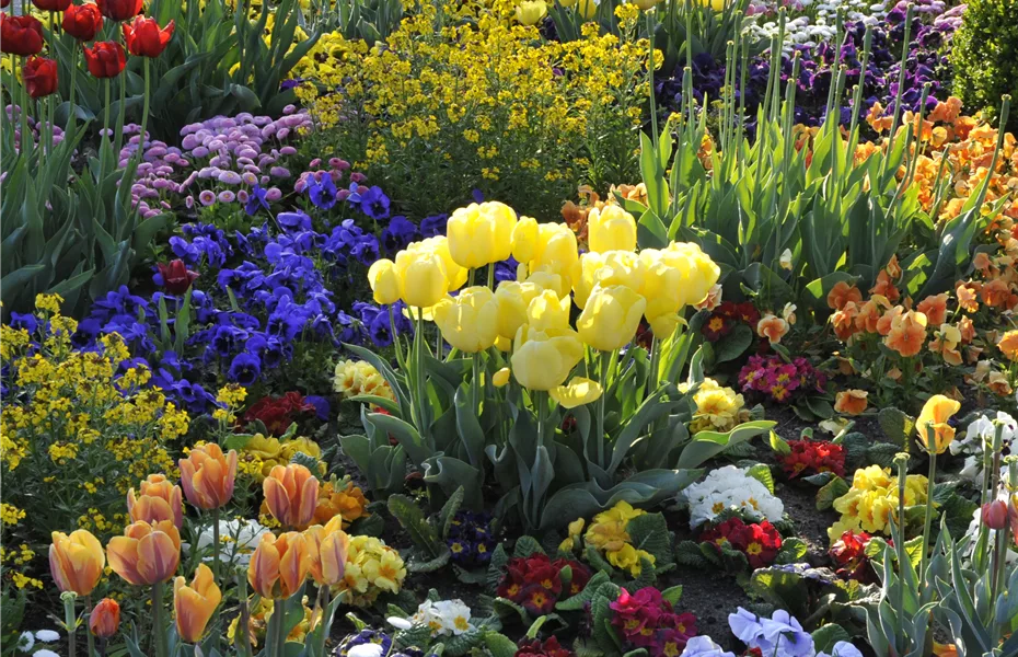 Blumenzwiebeln und Knollen brauchen auch mal Urlaub