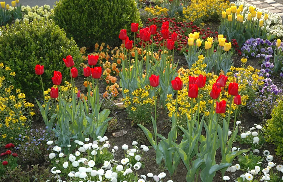 Blumenzwiebeln und Knollen brauchen auch mal Urlaub