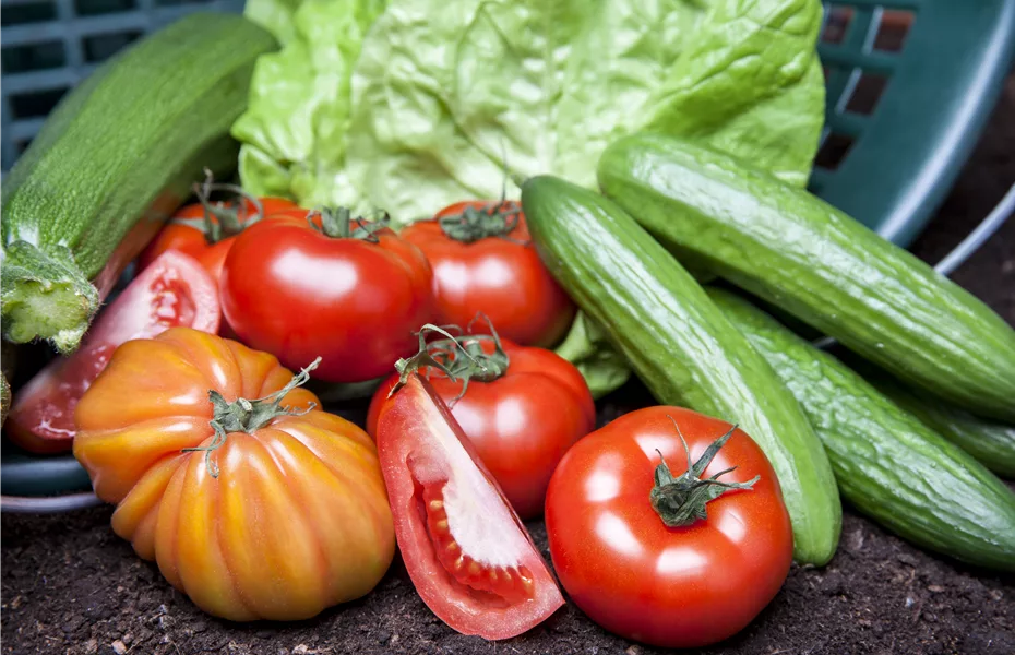 Heimische Frische – Gemüse aus dem eigenen Garten