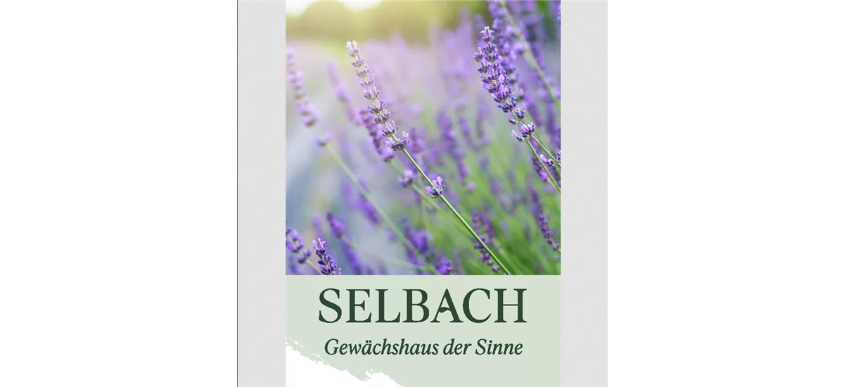 Gutschein Gartencenter Selbach 10 €