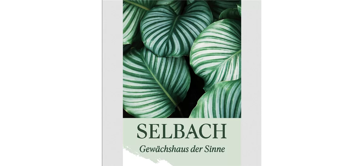 Gutschein Gartencenter Selbach 10 €