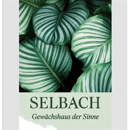 Gutschein Gartencenter Selbach