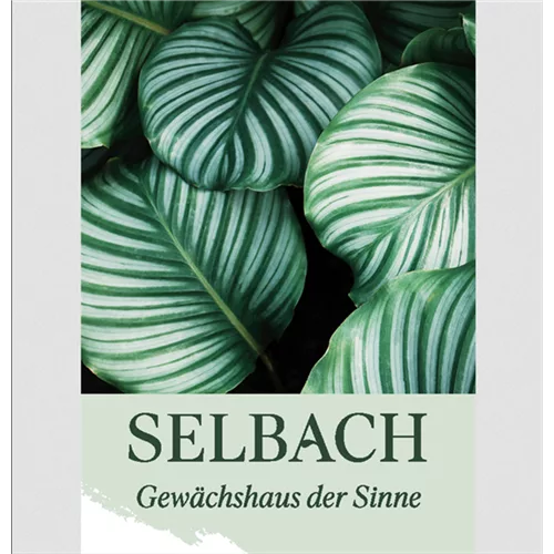 Gutschein Gartencenter Selbach