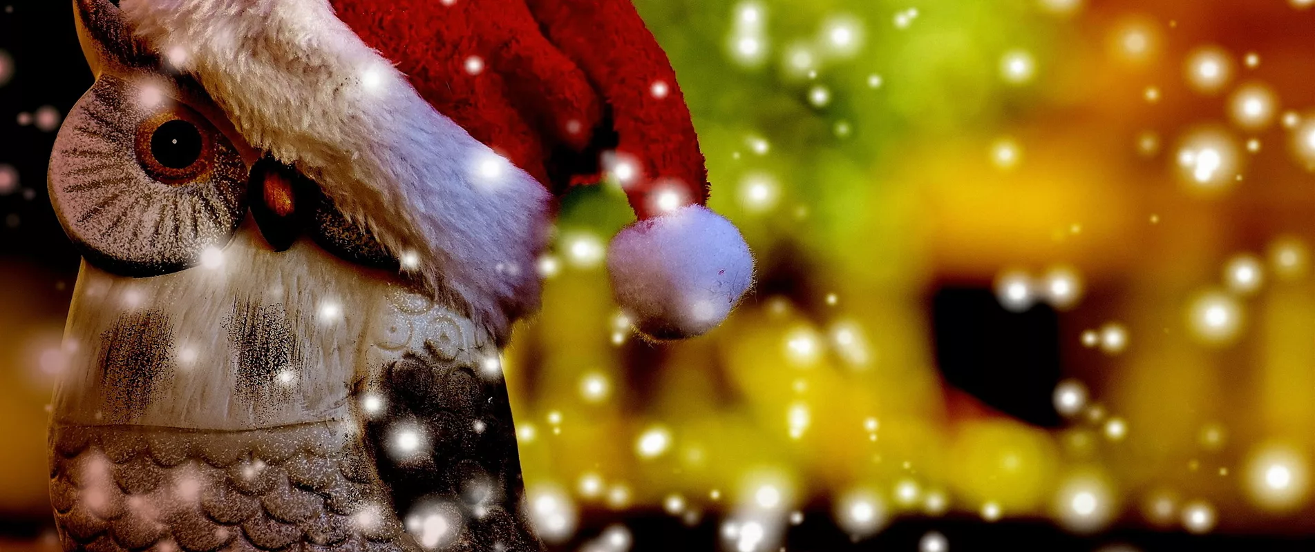 ...können das Fest retten.