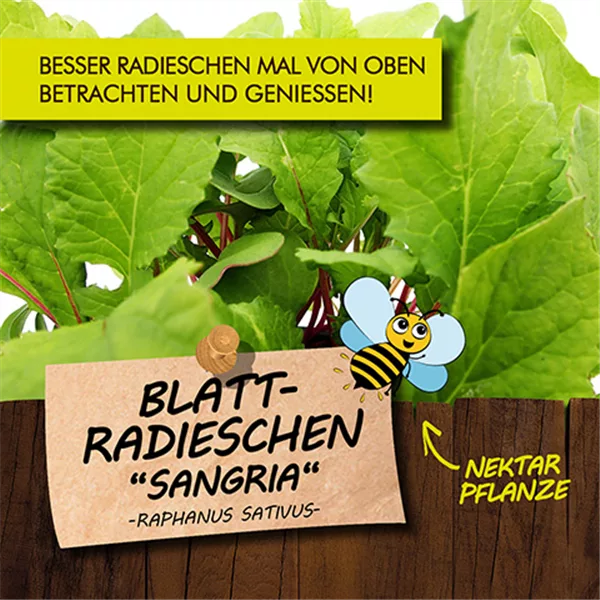 Bio Blatt-Radieschen "Sangria"