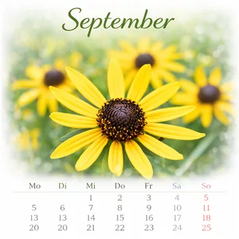 September mit Rudbeckia.png