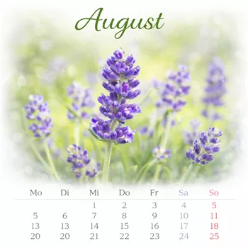 Lavendel im August.png