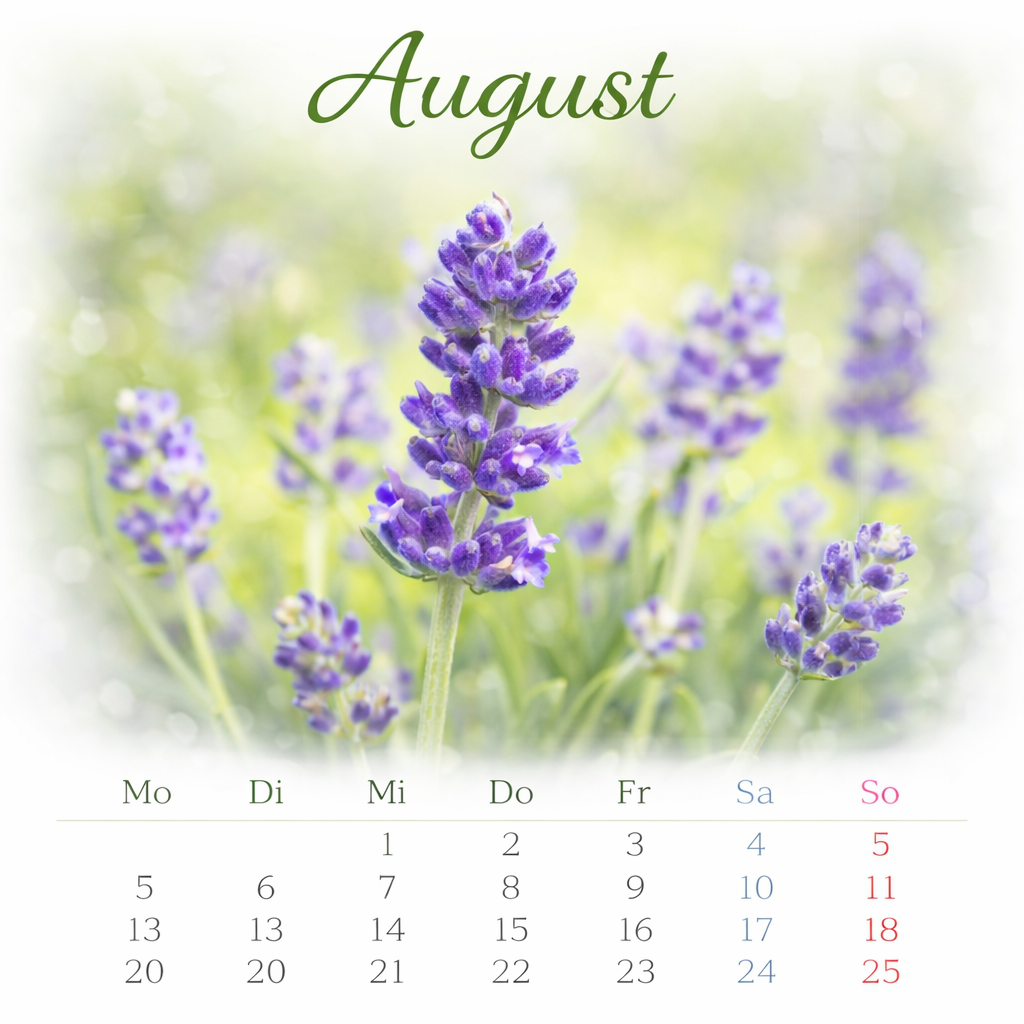 August