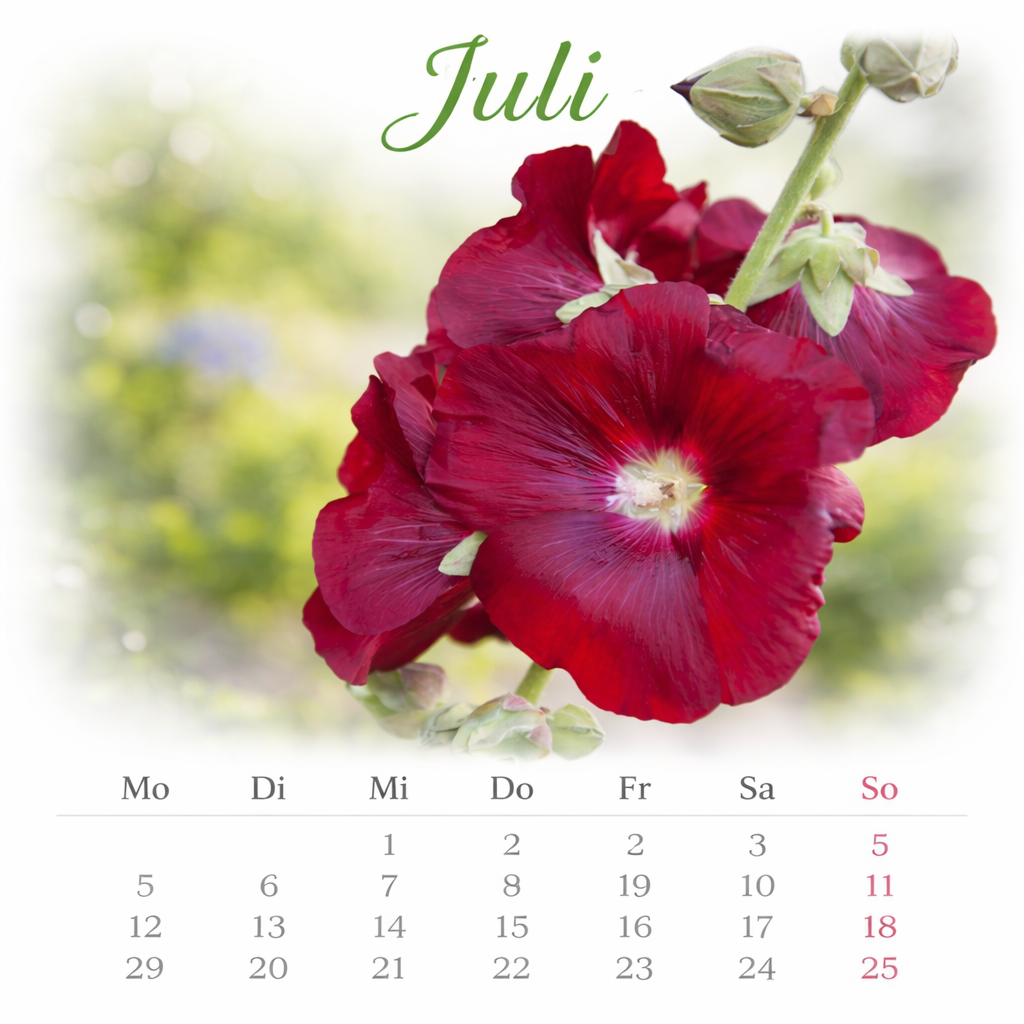 Juli