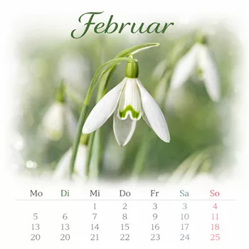 Schneeglöckchen im Februar-Kalender.png