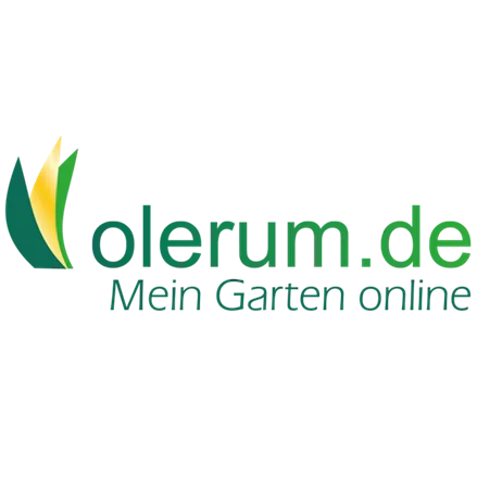 Tricyrtis 'Blue Wonder'