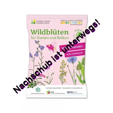 Wildblüten für Garten und Balkon 2 m² WEST