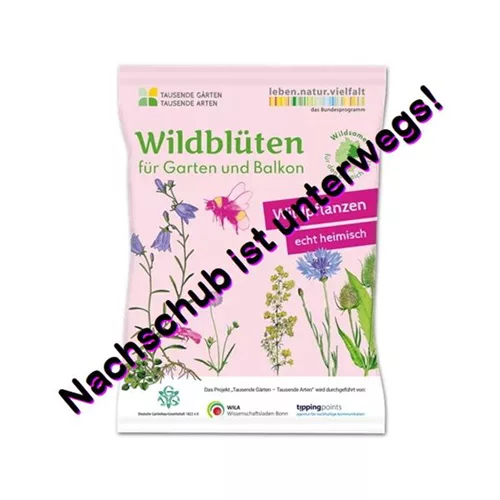 Wildblüten für Garten und Balkon 2 m² WEST