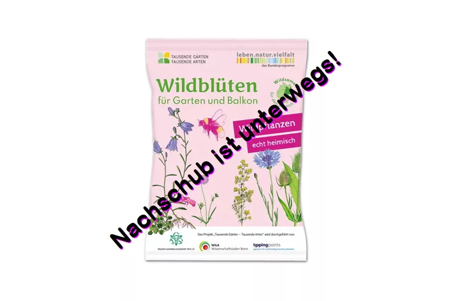 Wildblüten für Garten und Balkon 2 m² WEST 4 g für 2 m² WEST