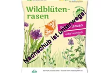 Wildblüten-Rasen - 10 m² NORD 30 g für 10 m² Region NORD