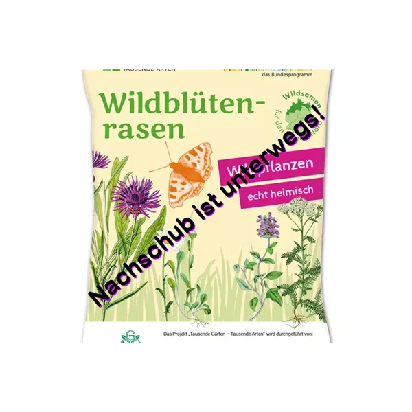 Wildblüten-Rasen - 10 m² NORD