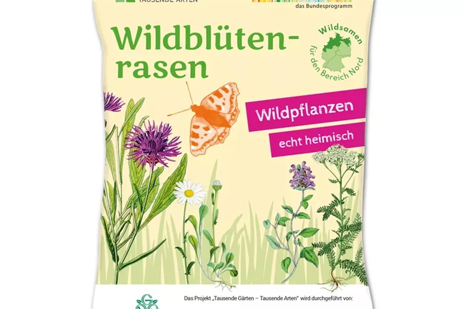 Wildblüten-Rasen - 10 m² NORD 30 g für 10 m² Region NORD