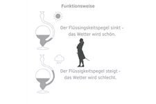 Goethe-Barometer 1 Stück