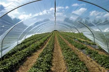 Folientunnel <6 m> - Römi® Profiline Set: RÖMI 6,00x10m Profiline