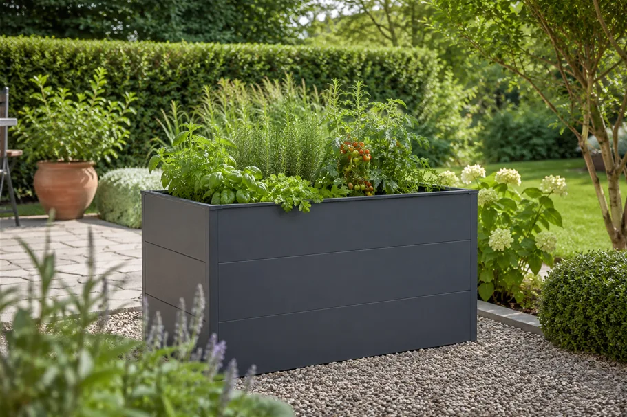 Stahl-Hochbeet L (LxBxH) 149 x 74 x 78 cm