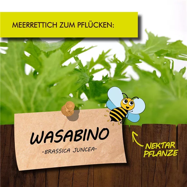 Bio Wasabino