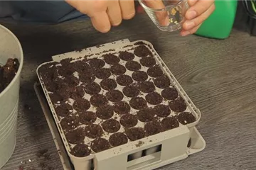 1. Schritt: Paprika - Aussäen von Samen 1. Schritt: Paprika - Aussäen von Samen