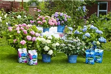 Endless Summer Hortensienerde blau 1 Sack x 20 Liter