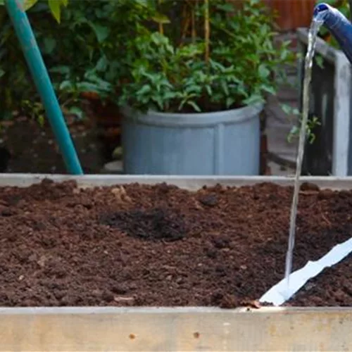 Möhren - Auslegen von Saatbändern