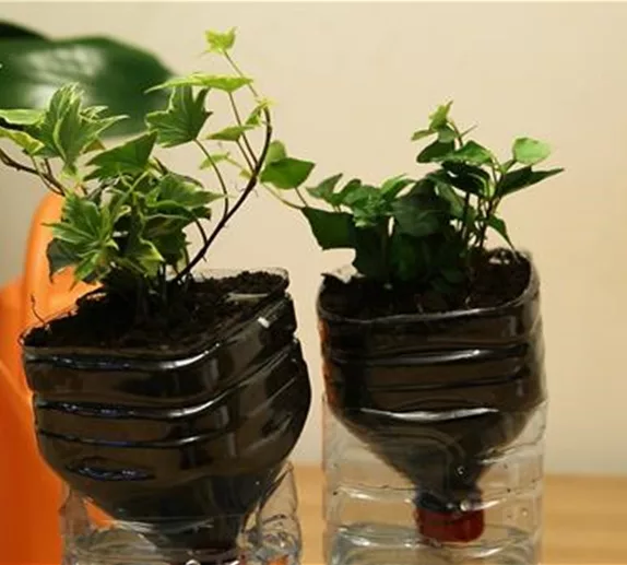 Wie geht das? - Selbstbewässerungstopf bauen