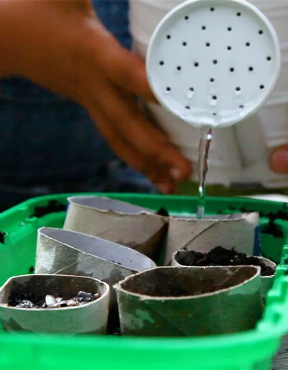 Anzuchtschalen aus Papierrollen basteln