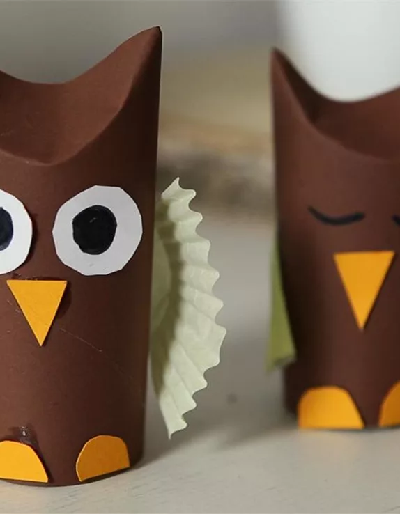 Eulen aus Papierrollen basteln