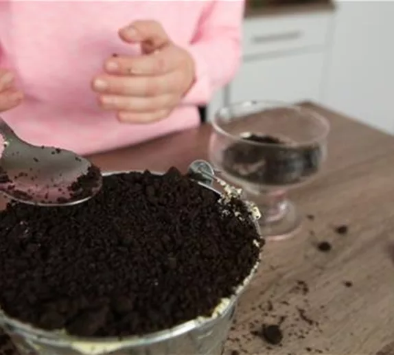 Blumenerde mit Quark - Richtig lecker!