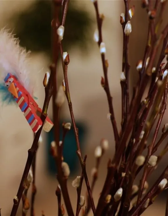 Vögel aus Wäscheklammern selber basteln