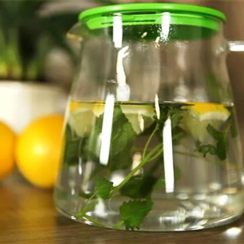 Leckeren Kräutertee zubereiten