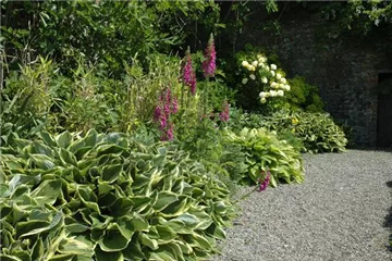 Staudenbeet im Garten – Blüten überall Staudenbeet im Garten – Blüten überall