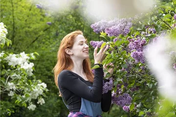 Bäume und Sträucher als Alternative für Blumenbeete Bäume und Sträucher als Alternative für Blumenbeete