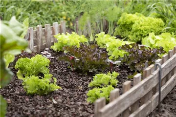 Richtige Blumenerde - Lebenselixier für Pflanzen Richtige Blumenerde - Lebenselixier für Pflanzen