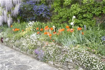 Staudengarten – Blüten, so weit das Auge reicht Staudengarten – Blüten, so weit das Auge reicht