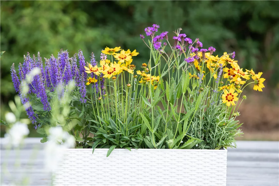 metall blumenkasten zum hängen ✨ ZINC Hängekasten – Robust & dekorativ für draußen – BUTLERS main image 0