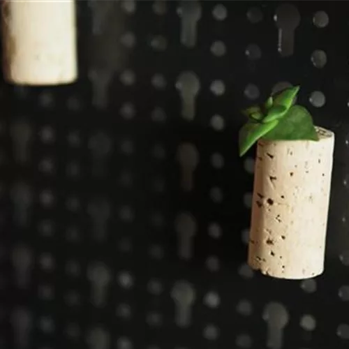 Sukkulenten-Korken-Magnete basteln