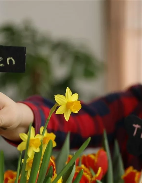 Namensschilder für Blumen basteln