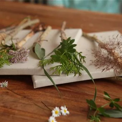 Pinsel aus Naturmaterialien selber basteln