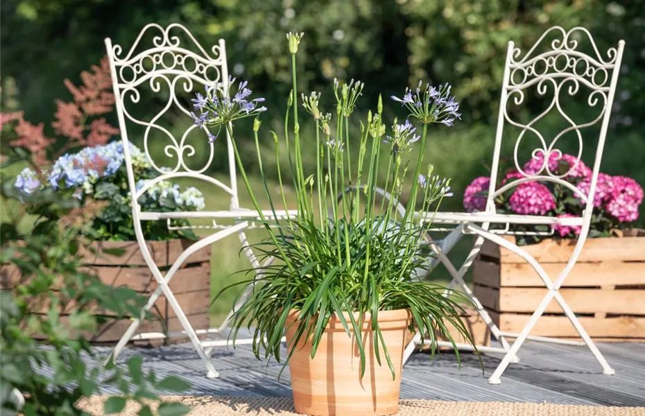 Gartenmöbel machen die Wohlfühl-Oase perfekt