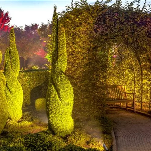 Das Spiel mit Farbe & Licht im Garten – wundervoll