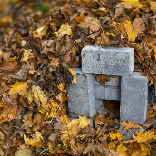 Das Igelhaus im Garten: Wohnst du noch?