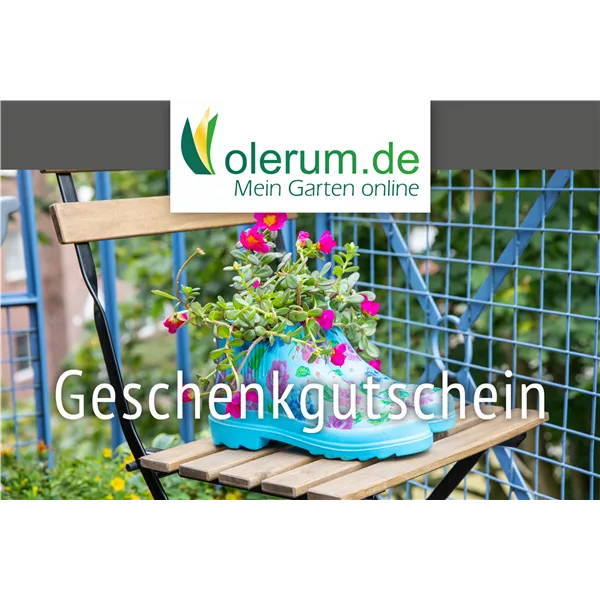 Gutschein Online