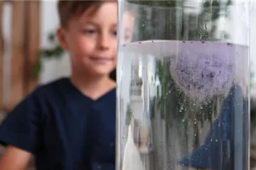 Sprudelnde Badebomben selber machen - Mit Blüten und Kräuter Sprudelnde Badebomben selber machen - Mit Blüten und Kräuter