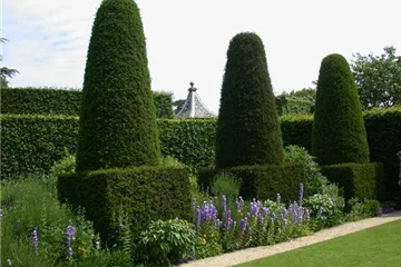 Formgehölze - exklusive, edle Kunstwerke im Garten Formgehölze - exklusive, edle Kunstwerke im Garten